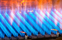 Lewdown gas fired boilers